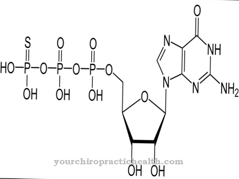 Guanosina trifosfato