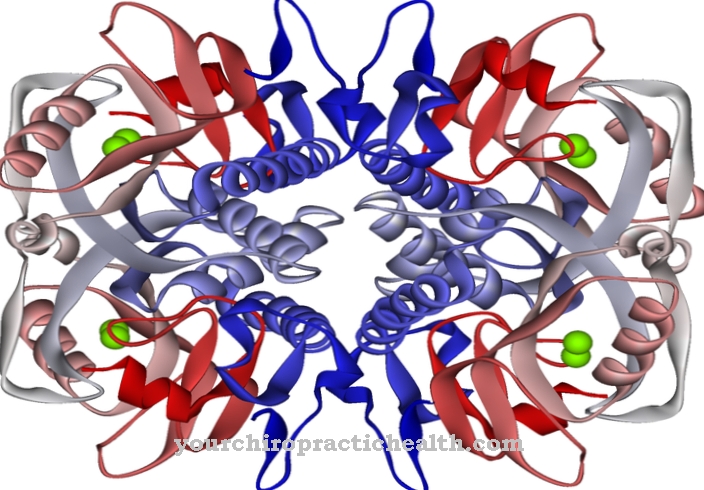 Hypoxanthin-guanin-phosphoribosyltransferase