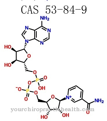 Nicotinamide adenine dinucleotide