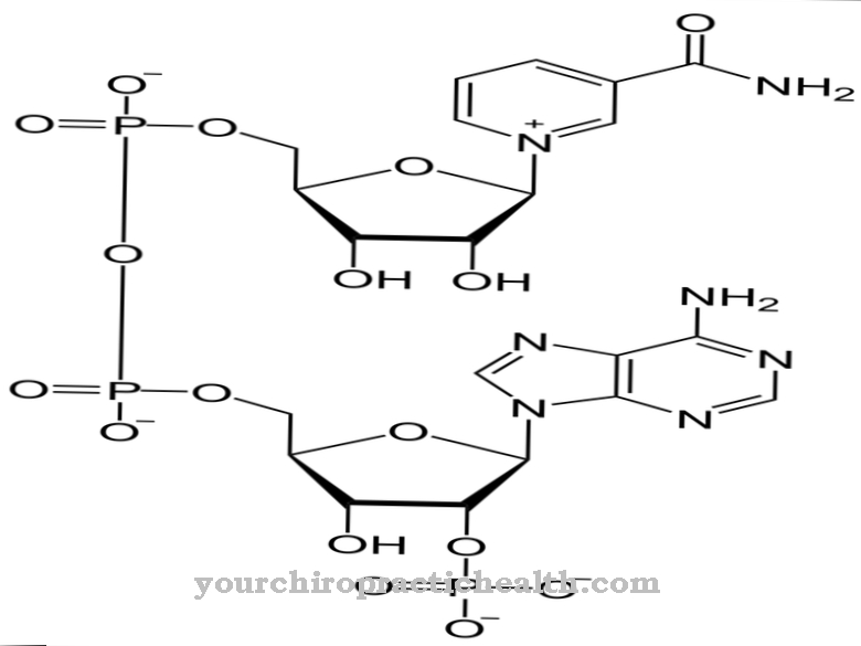 Phosphate de nicotinamide adénine dinucléotide