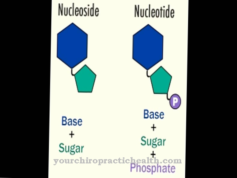 Nucleosides