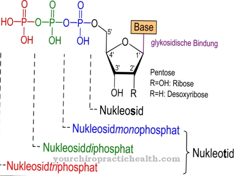 nukleotidi