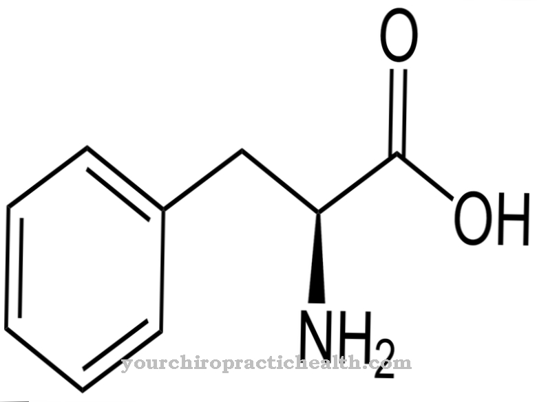 fenilalanin