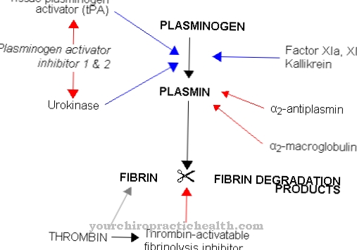 Inhibitor Pengaktif Plasminogen