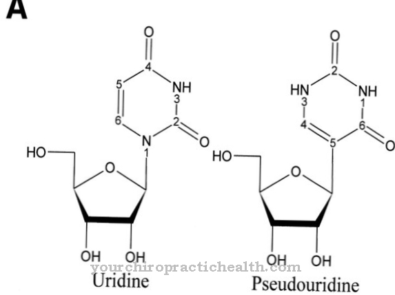 Pseudouridiin