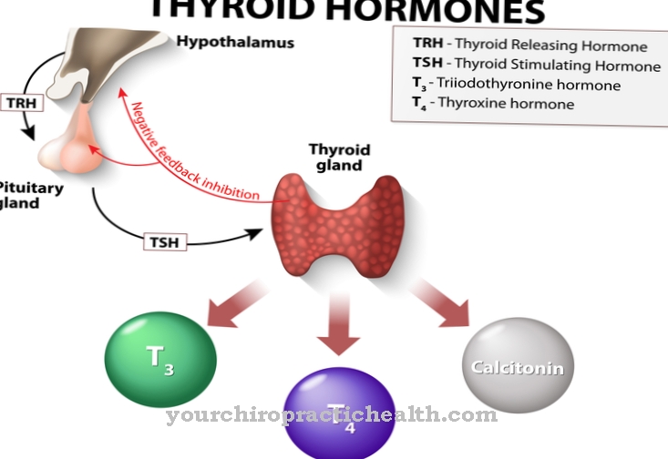 Освобождаване на хормони