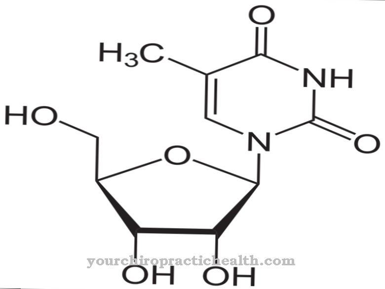 Ribothymidine