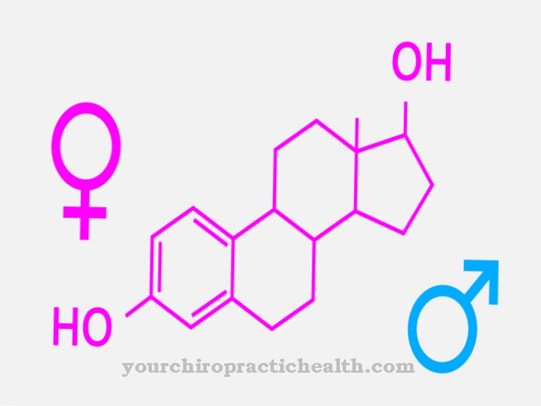 Laboratórne Hodnoty - estrogén