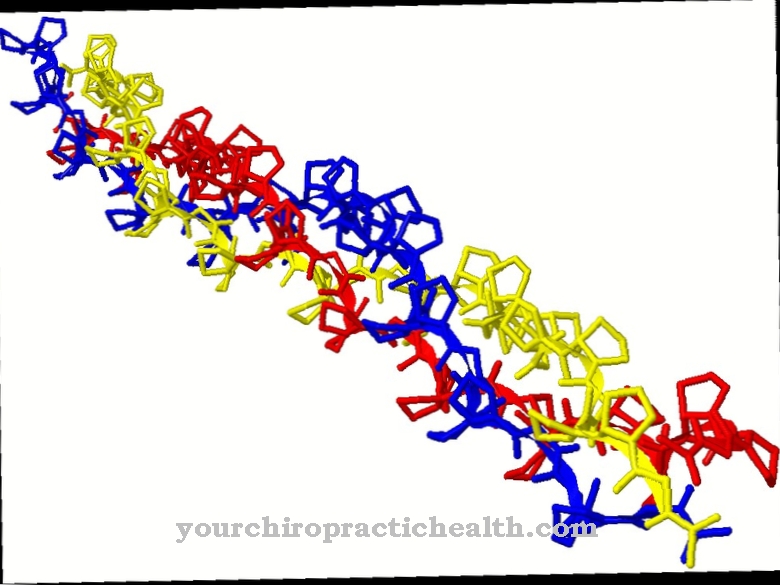 Структурен протеин