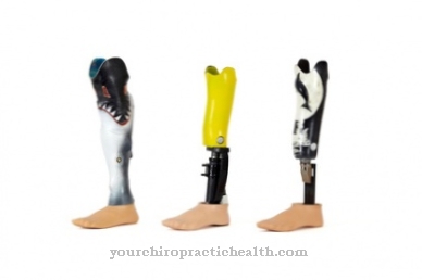 Protetická noha