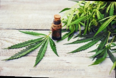 New trend cannabis oil - what exactly is behind it
