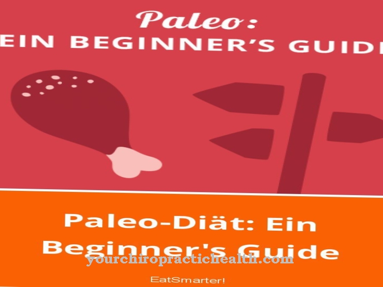 Paleo diet: How to get started with Stone Age nutrition
