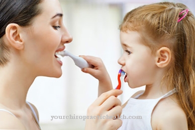 Prophylaxis from childhood: this is how teeth stay healthy