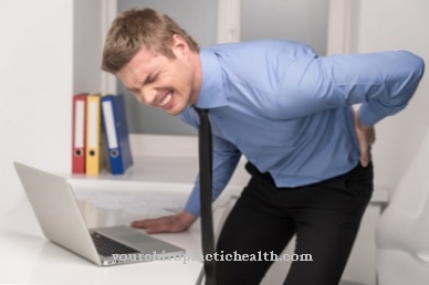 Back pain in the office: tips to avoid bad posture
