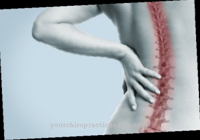 Študija bolečine v hrbtu