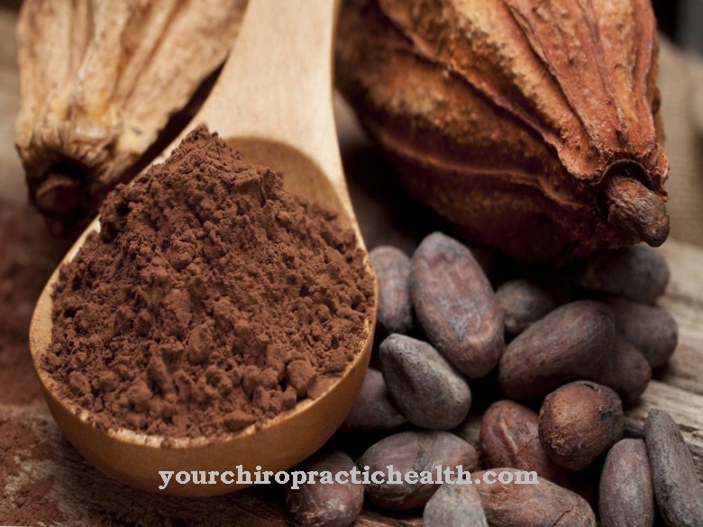 Superfood cocoa: why chocolate lowers the risk of stroke