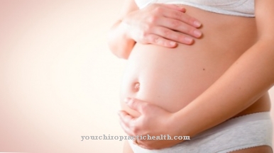 Prvé mesiace tehotenstva