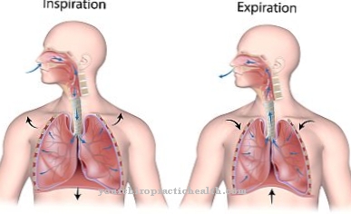 Kvėpavimo organų paralyžius