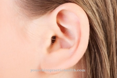 Flusso dell'orecchio (otorrea)