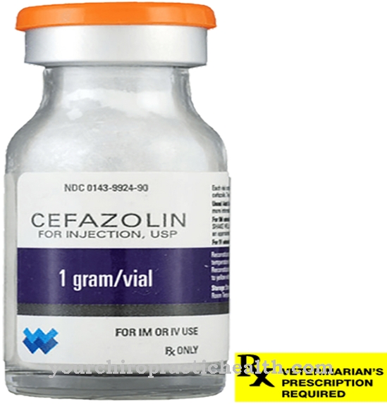 Active Ingredients - Cefazolin
