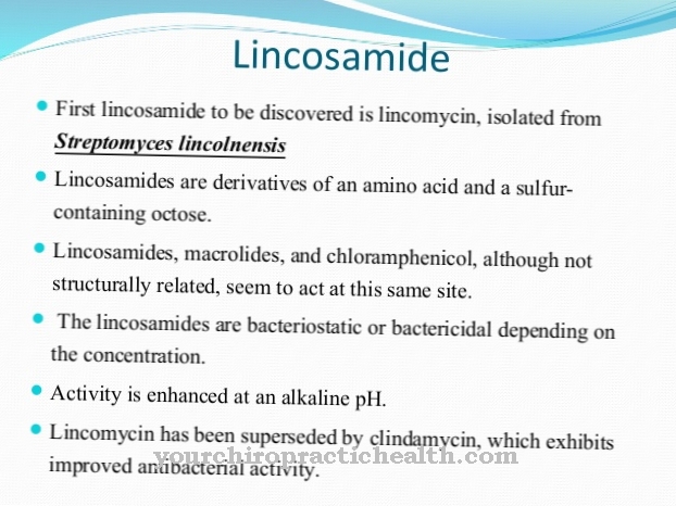 Linkosamiidid